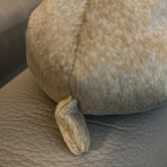 Ty Beanie Babies “Almond” The Bear, April 14, 1999 - Picture 6 of 6